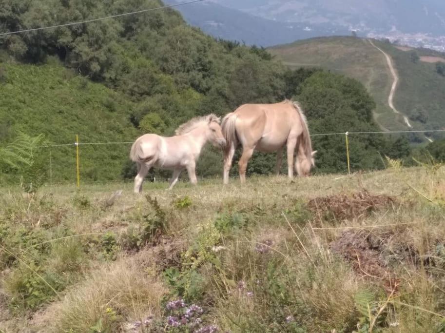 Gite La Grangette De Pauline Mercus-Garrabet Екстер'єр фото