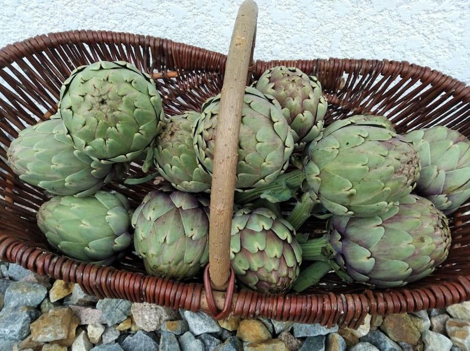 Gite La Grangette De Pauline Mercus-Garrabet Екстер'єр фото