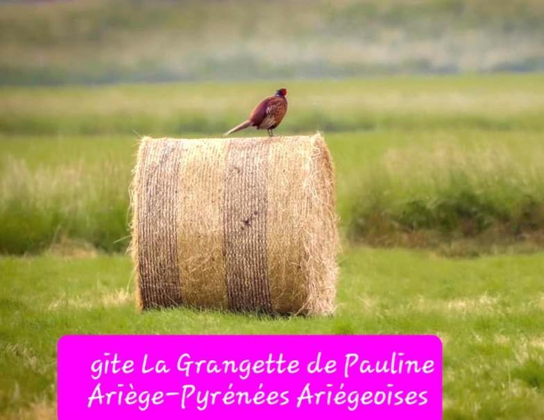Gite La Grangette De Pauline Mercus-Garrabet Екстер'єр фото